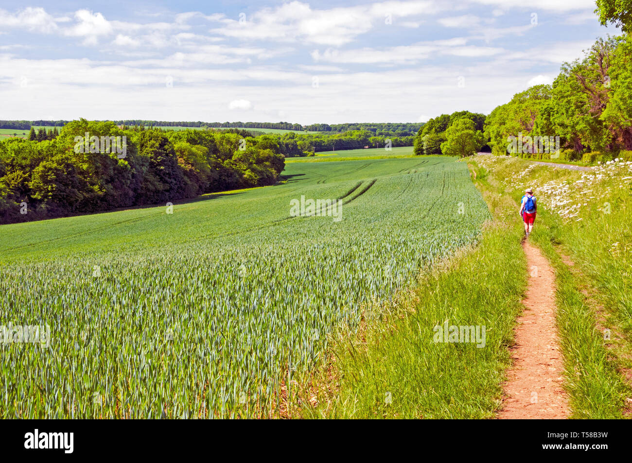 Cotswold way hires stock photography and images Alamy