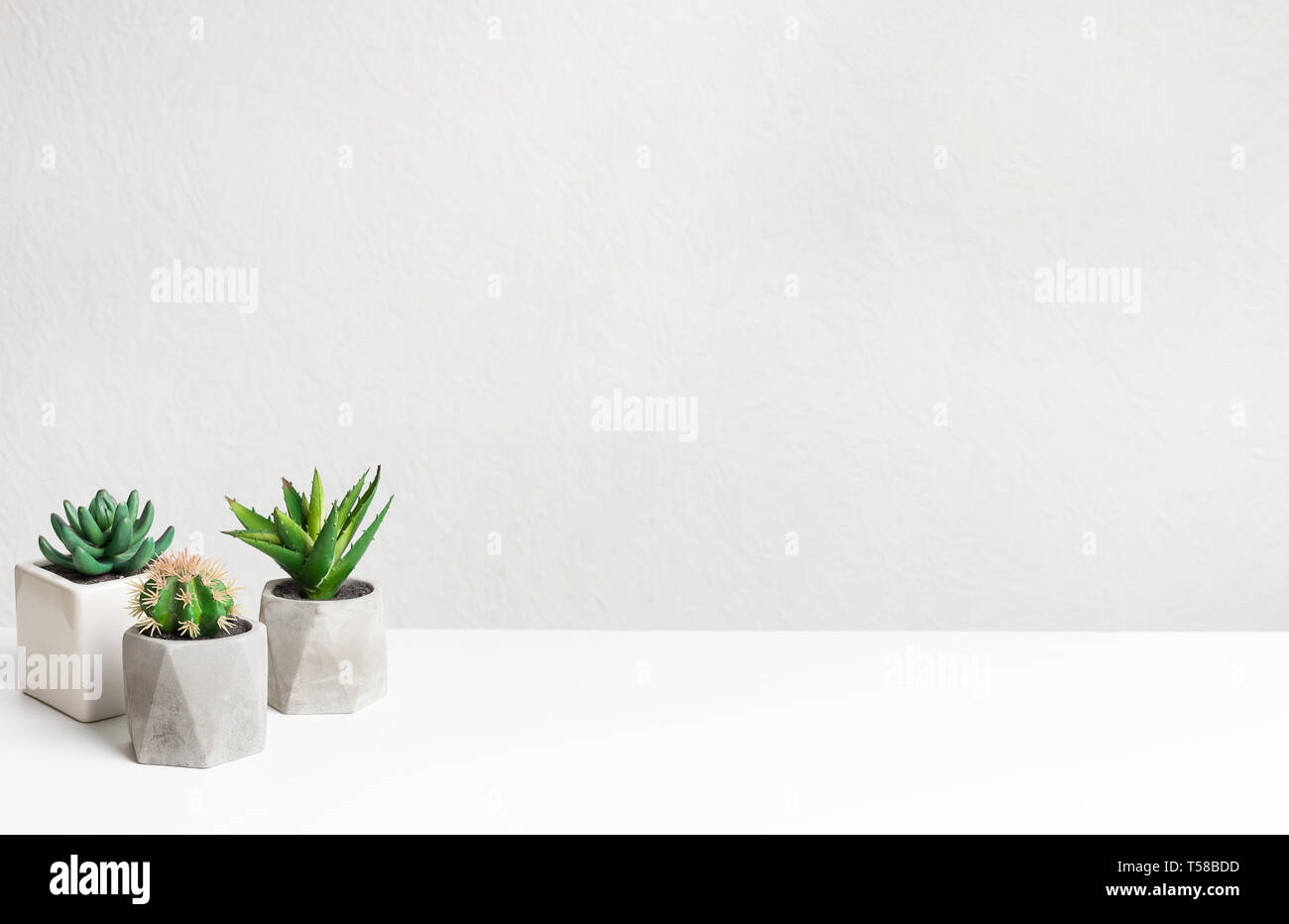 Small cacti plants in pots on table over grey wall Stock Photo