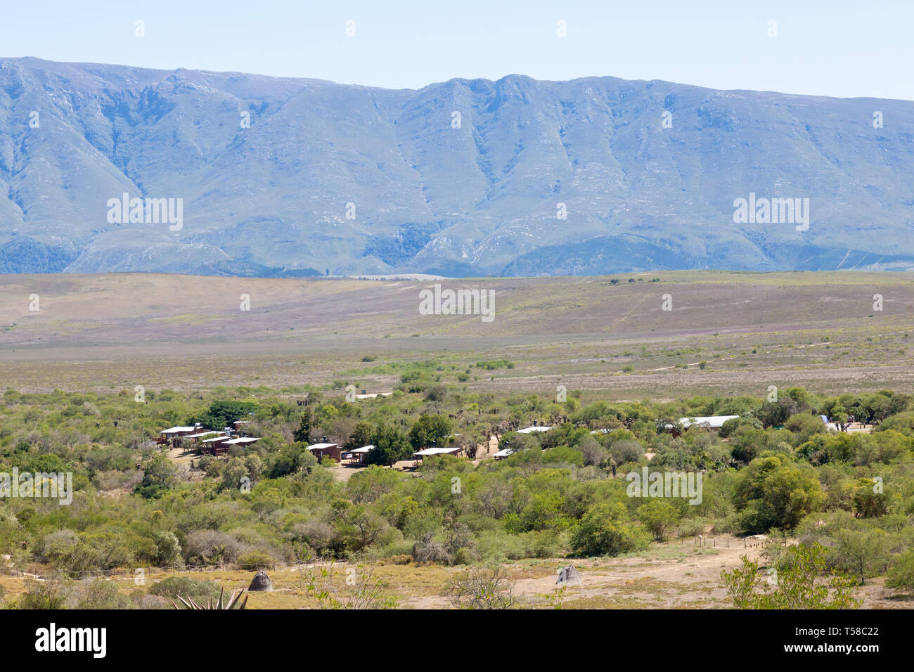 Renosterveld vegetation and Riviersonderend Mountains with campsite and rest camp, Bontebok National Park,  Swellendam, Western Cape, South Africa Stock Photo