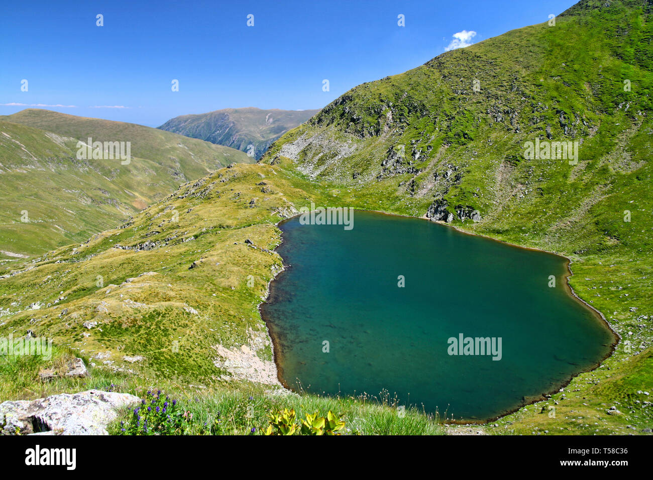 Alpine lake landscape, summer view in Fagaras mountains Stock Photo