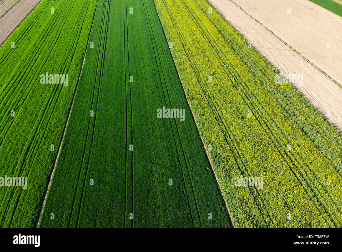 Aerial view corn fields croatia hi-res stock photography and images - Alamy