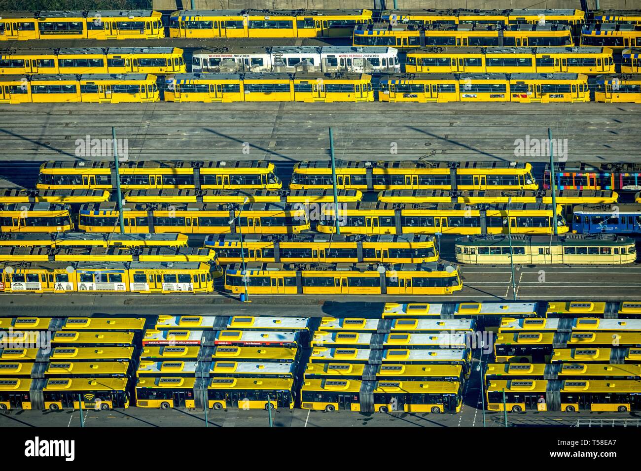 Aerial view, tram depot and bus depot, Essener Verkehrs AG, EVAG, parked vehicles in rows, yellow trams, yellow buses, Essen, North Rhine-Westphalia Stock Photo