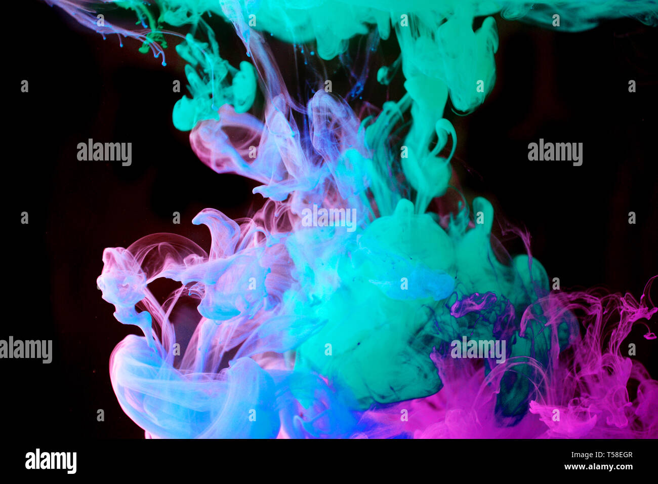 inks in water, color abstraction, color explosion Stock Photo - Alamy