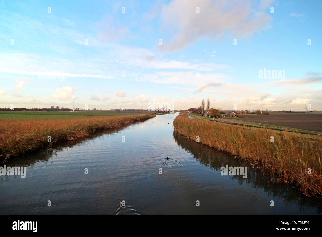 First part of river Rotte at Moerkapelle at the Rottedijk during sunset ...