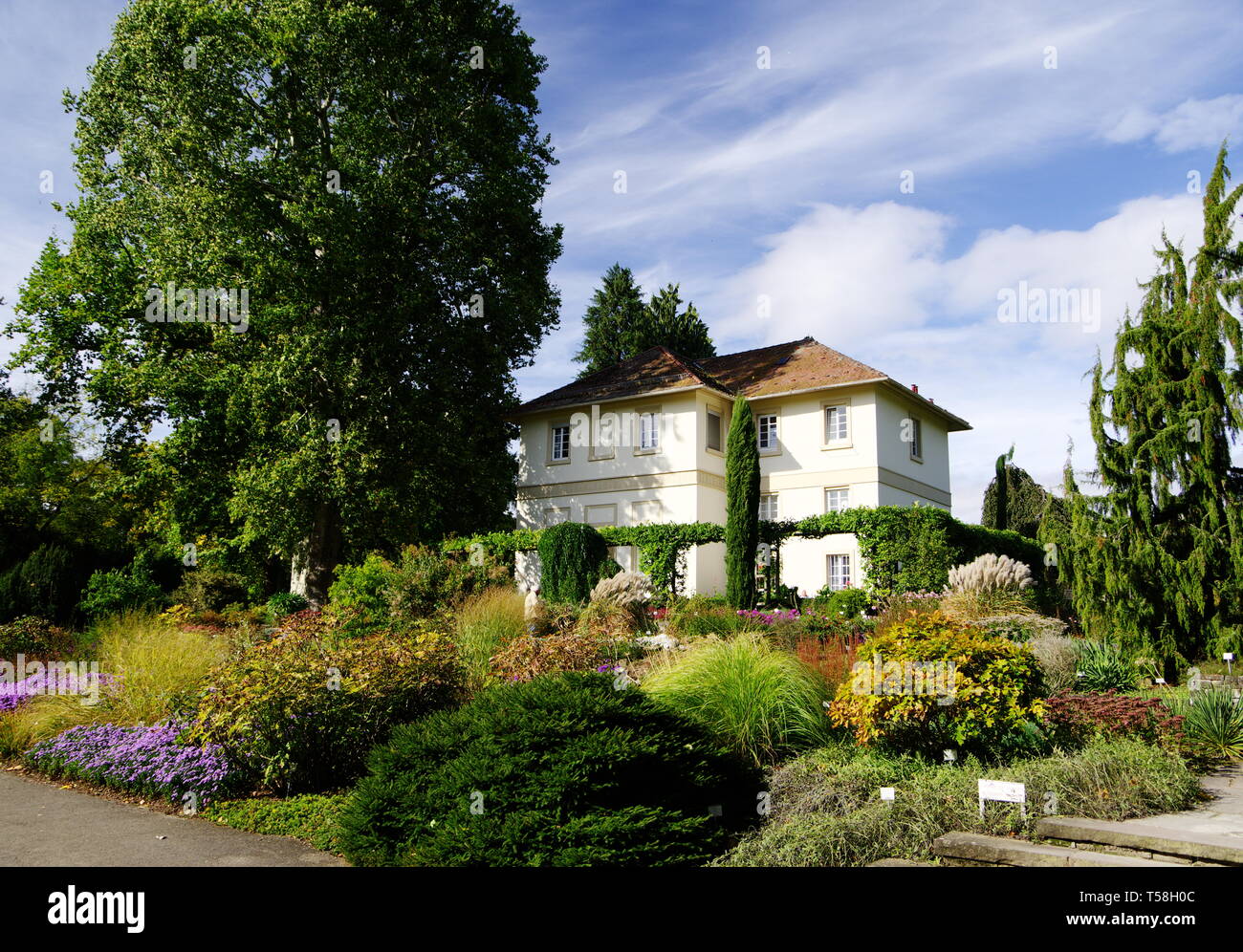 beautiful old villa in a great garden Stock Photo