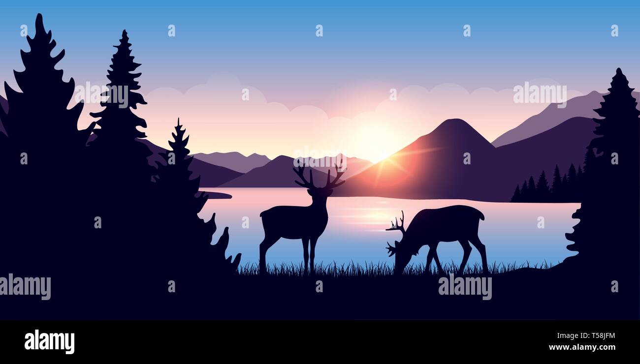 two moose graze by the river in the forest at sunrise vector illustration EPS10 Stock Vector