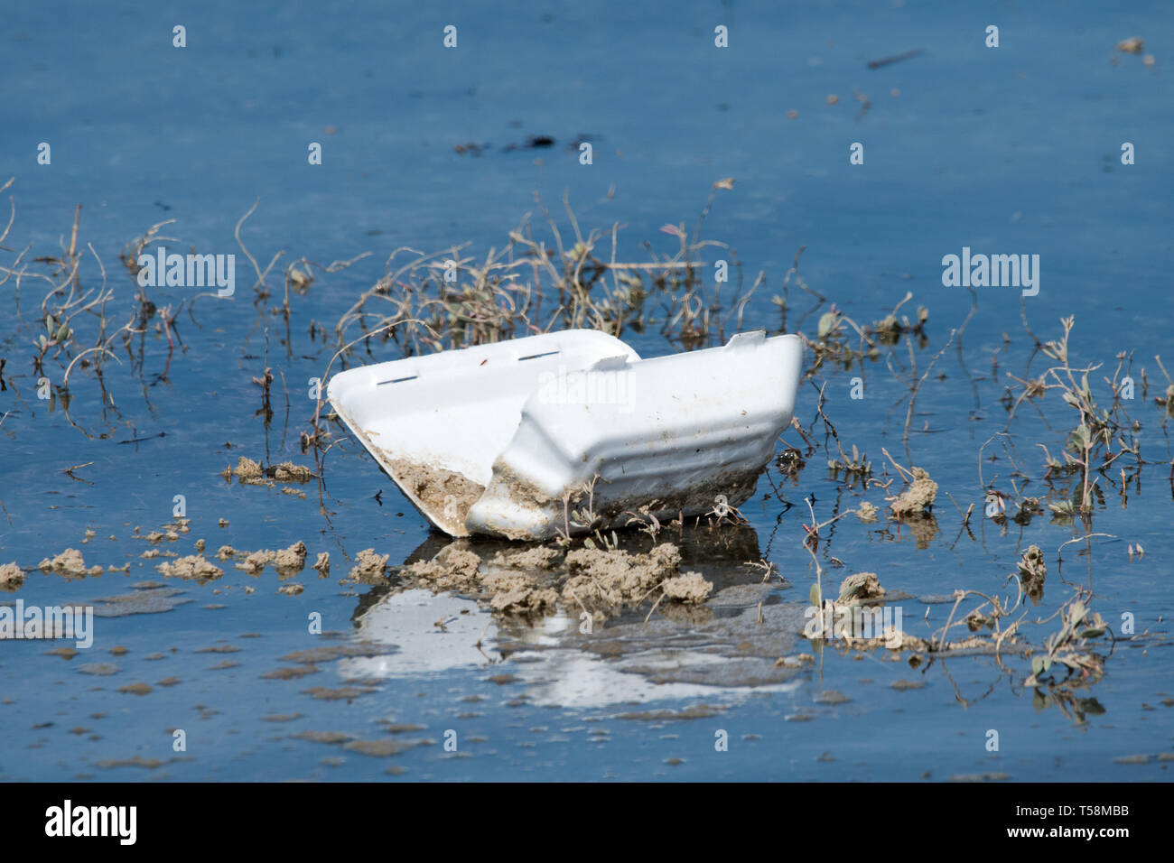 Plastic tray floating in water Stock Photo Alamy