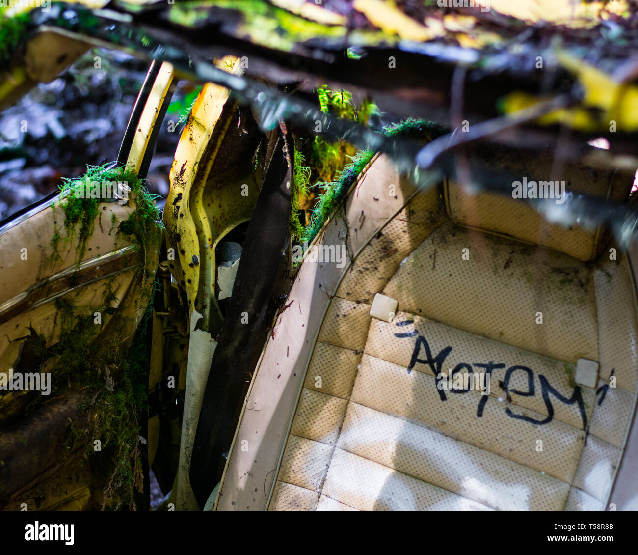 Abandoned car in forest hi-res stock photography and images - Alamy
