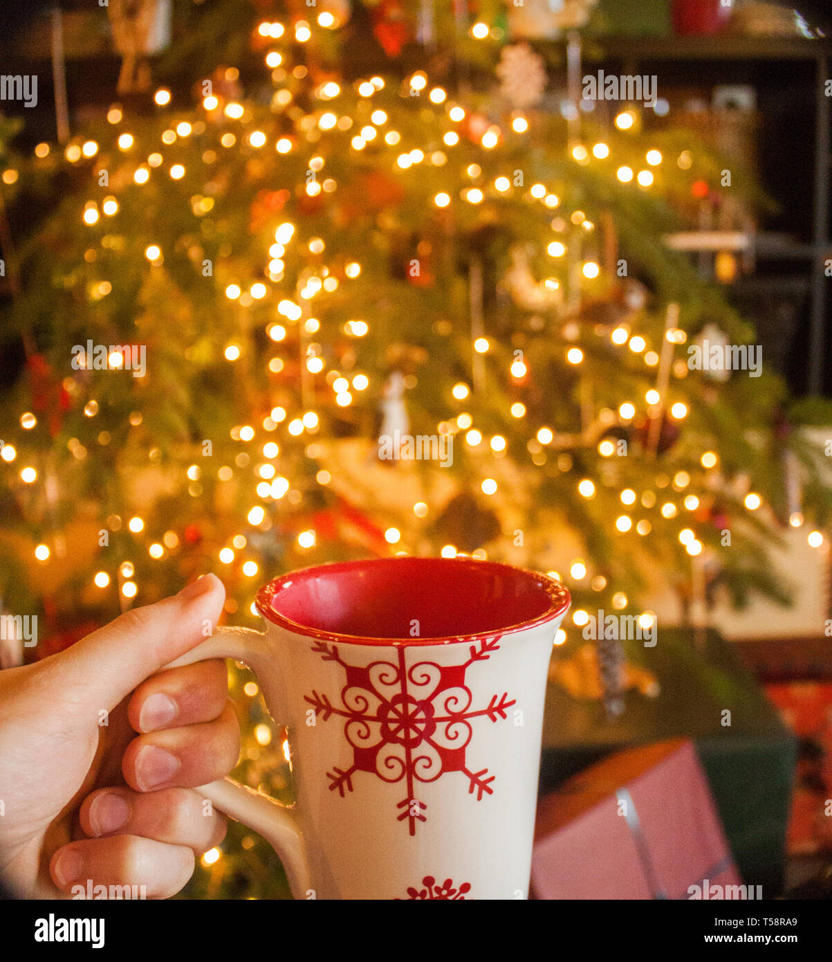 Steaming warm mug of hot cocoa next to christmas tree for the winter holidays Stock Photo