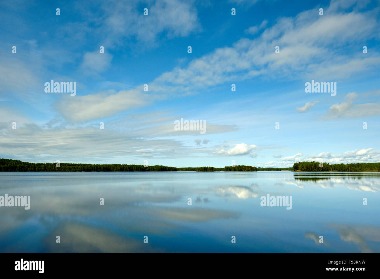The still water and blue sky summer lake landscape of Sweden. Stock Photo