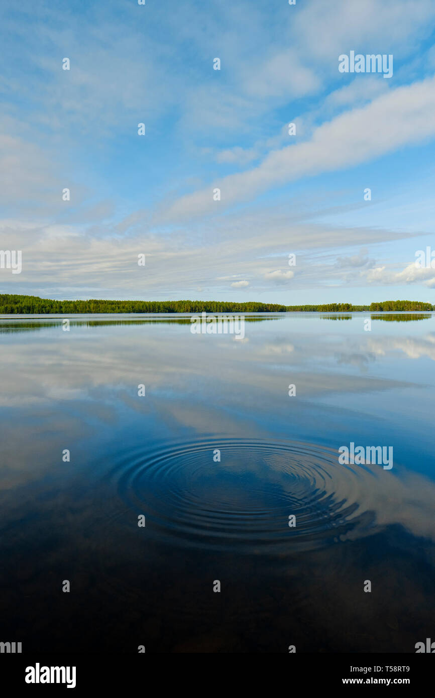 Circular ripples in the still water and blue sky summer lake landscape of Sweden. Stock Photo