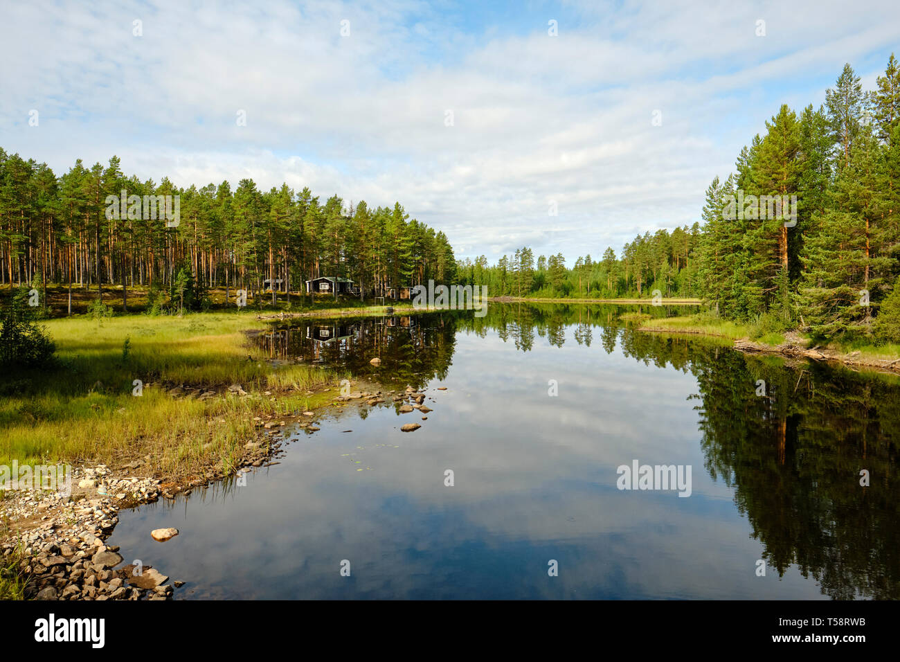 Lakes and boreal forest hi-res stock photography and images - Alamy