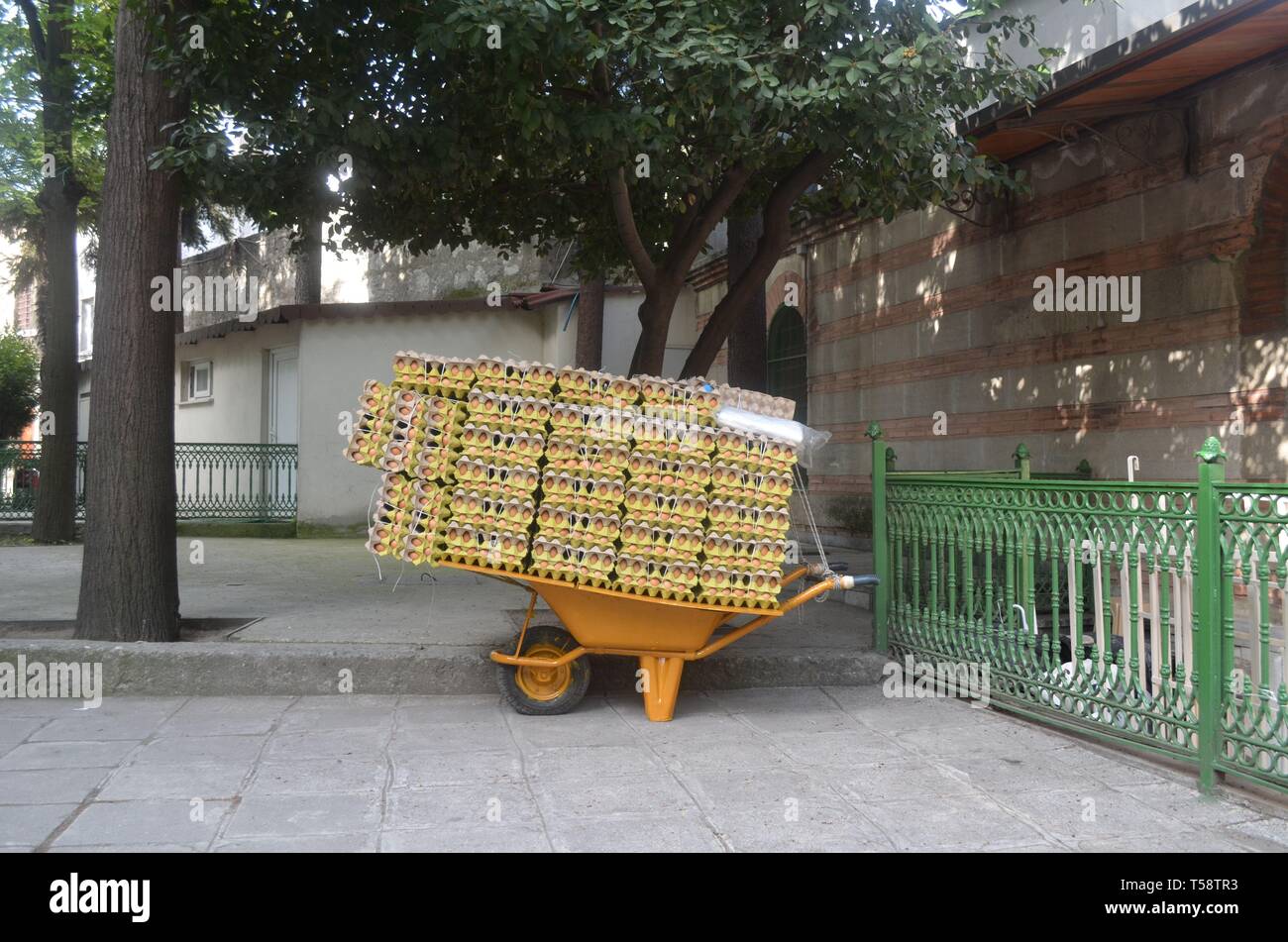 Eggs in Wheelbarrow Stock Photo