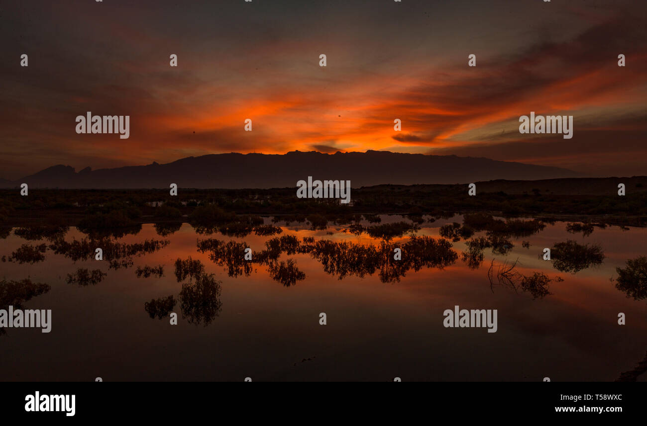 Ayn Al Fayda is a place in Al Ain where the combination of Desert and rocky mountains and green suburbs. An interesting place to go for a sunrise Stock Photo