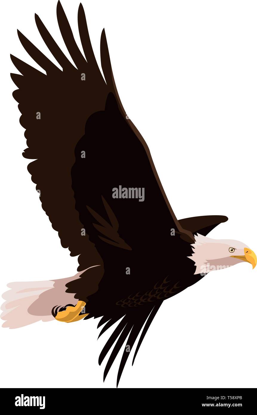 beautiful bald eagle flying vector illustration design Stock Vector ...