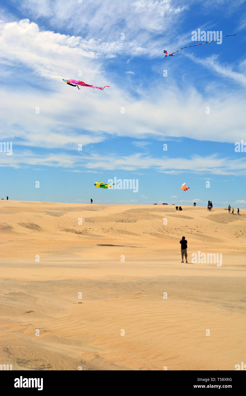 Kites fly high over Jockey's Ridge on a windy day at the Outer Banks