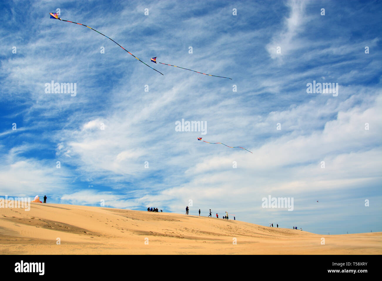 Kite and outer banks hires stock photography and images Alamy