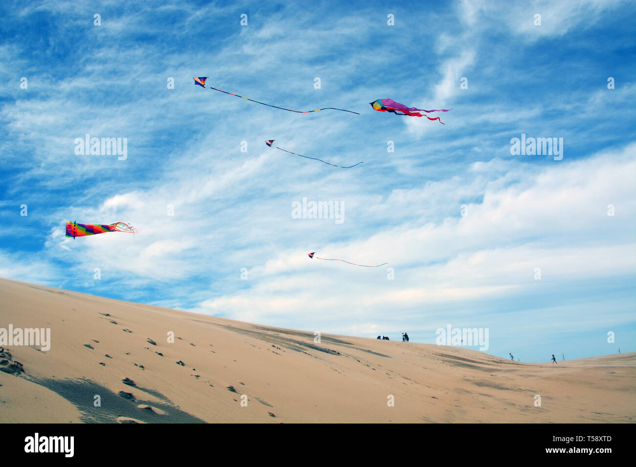 Kites fly high over Jockey's Ridge on a windy day at the Outer Banks