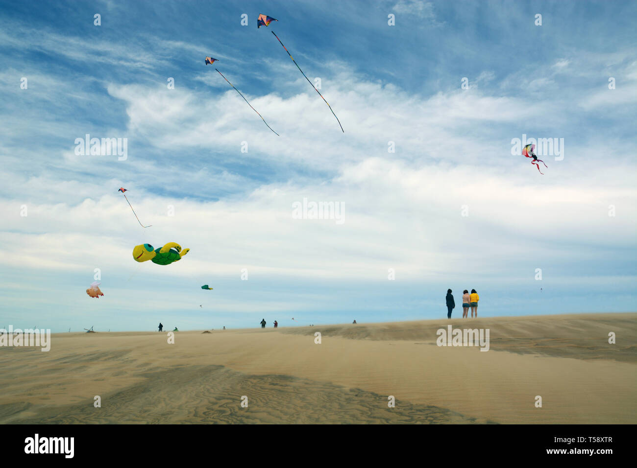 Kites fly high over Jockey's Ridge on a windy day at the Outer Banks