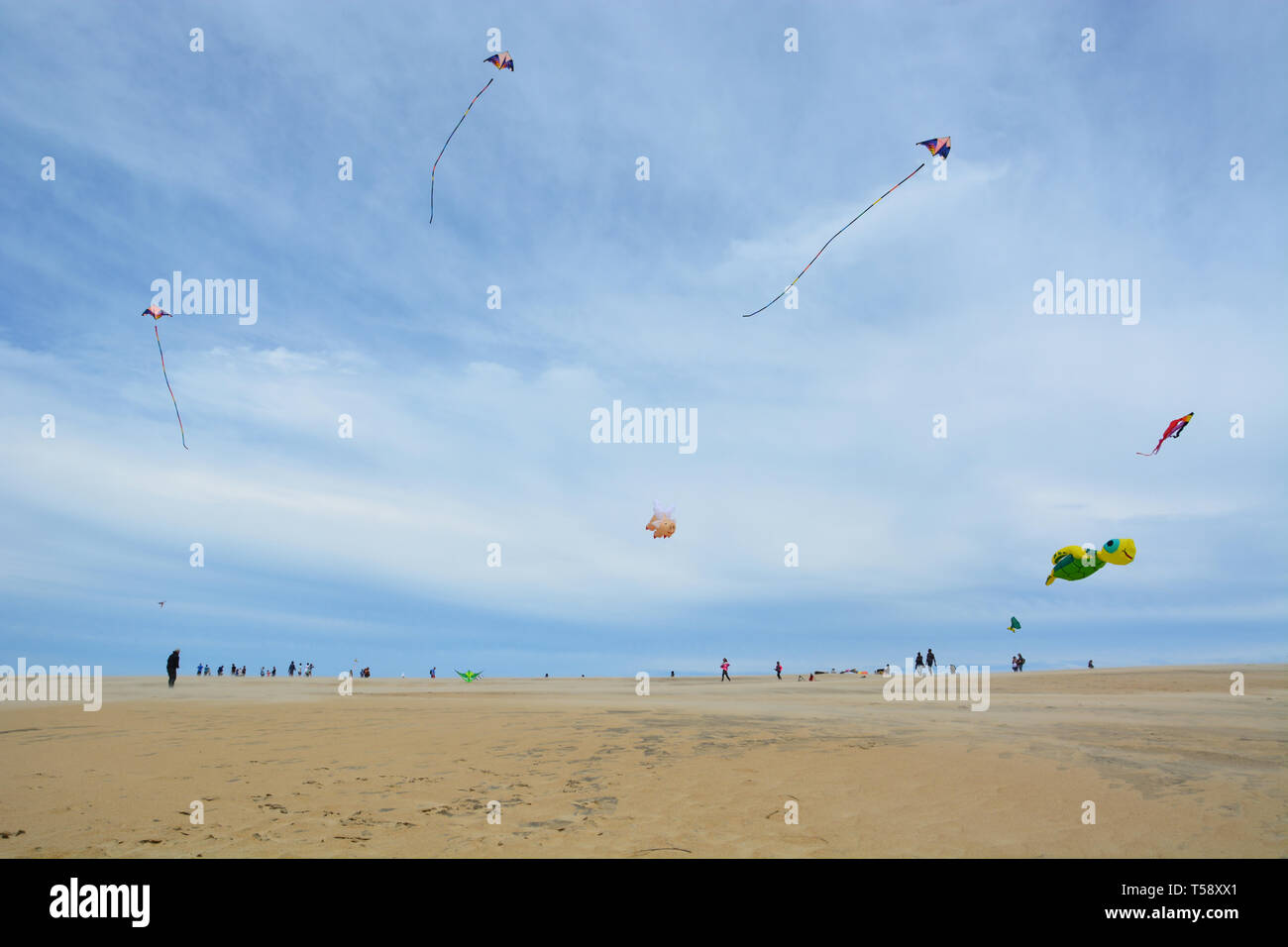 Kites fly high over Jockey's Ridge on a windy day at the Outer Banks
