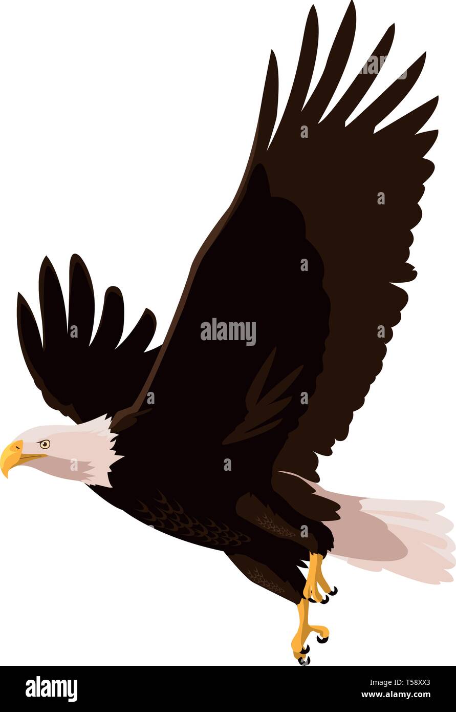 beautiful bald eagle flying vector illustration design Stock Vector ...