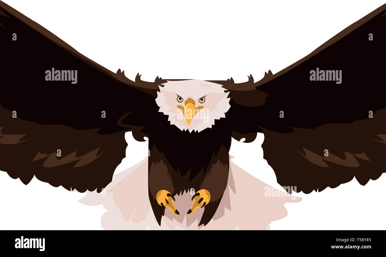 beautiful bald eagle flying vector illustration design Stock Vector ...