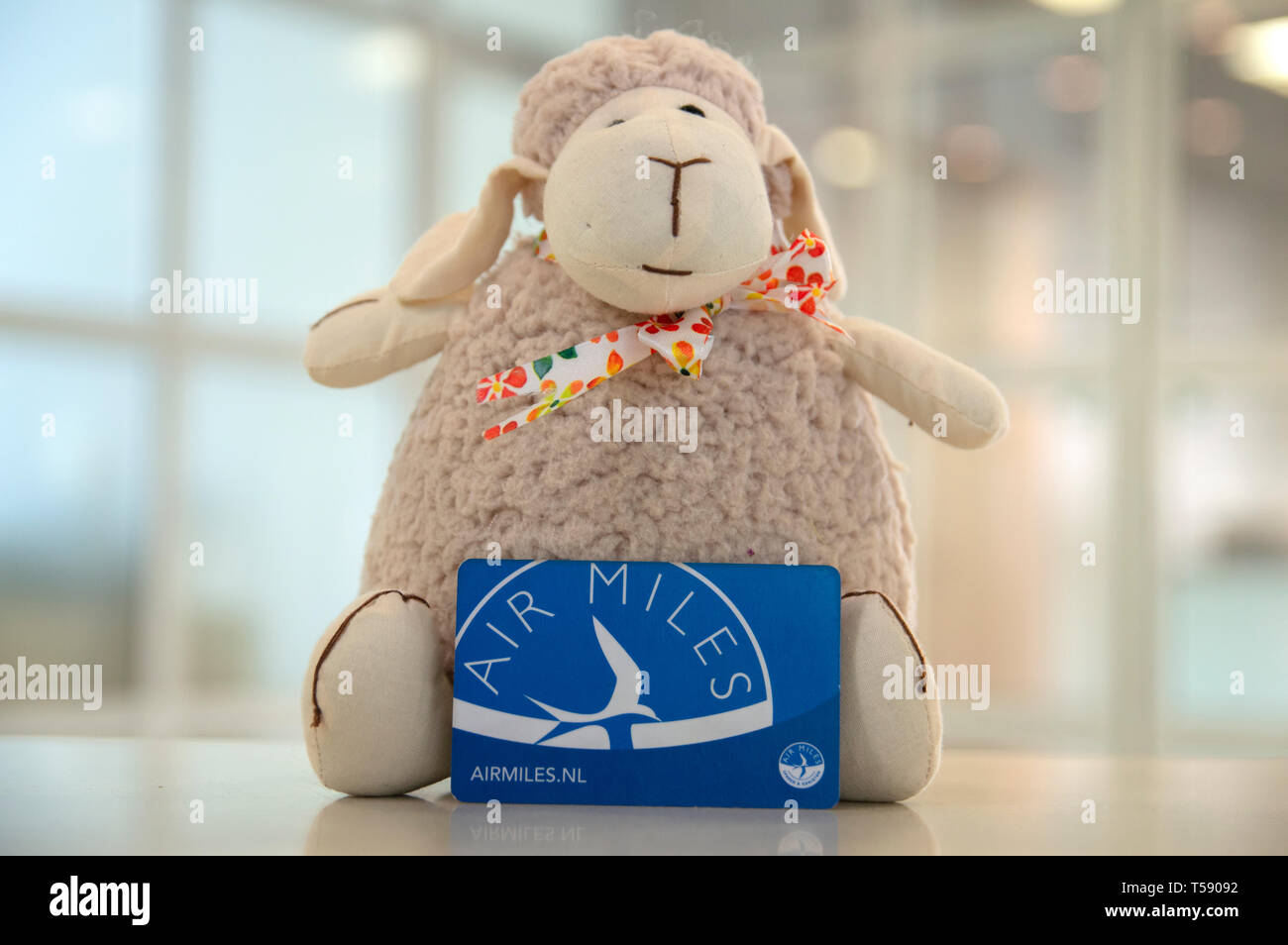 Sheep Puppet Promoting Airmiles Card At Amsterdam The Netherlands 2019 Stock Photo
