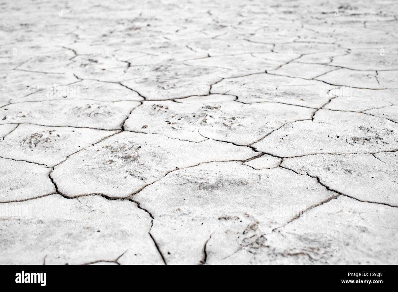 Crack soil on dry season, Global worming effect. Stock Photo