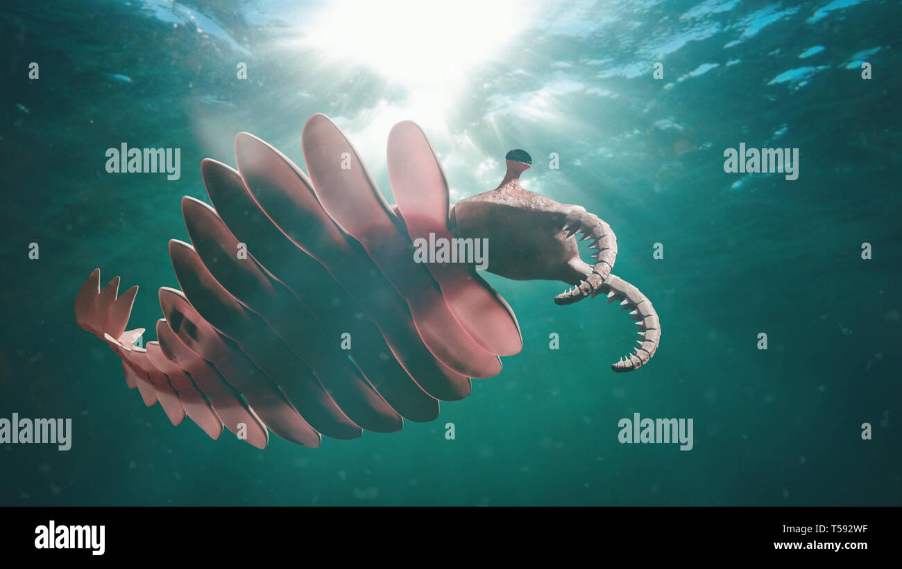 Anomalocaris, life form of the Cambrian period (3d science illustration) Stock Photo
