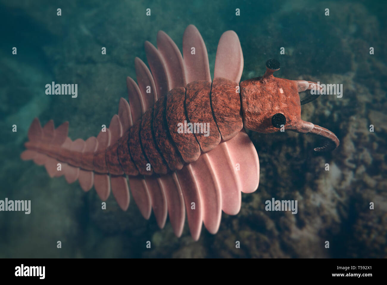 Anomalocaris, prehistoric creature of the Cambrian period (3d science rendering) Stock Photo