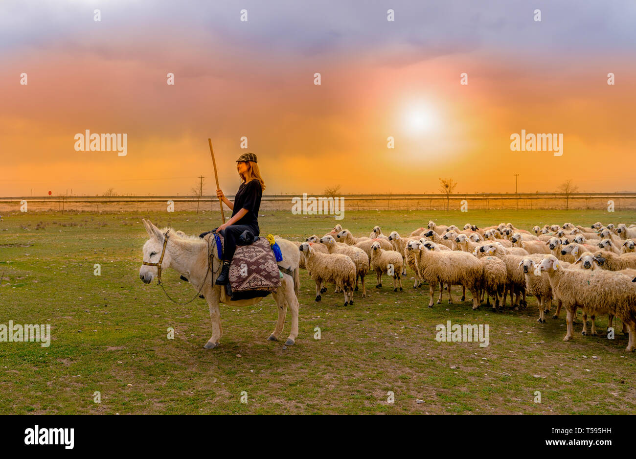 Turkey Riding Donkey Woman riding donkey hi-res stock photography and images - Alamy