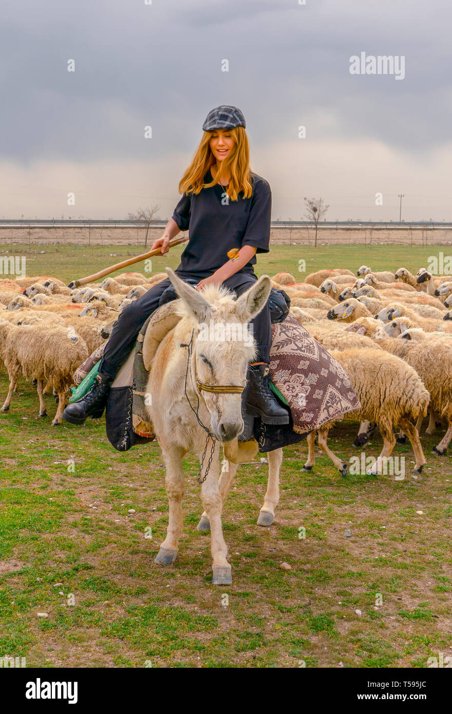 Turkey Riding Donkey Konya, Turkey-April 14 2019: Shepherdesses with hat riding white donkey ...