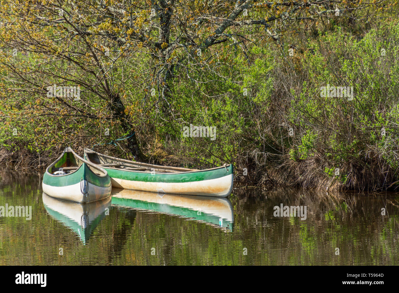 Arcachon Bay (France), canoes on the river Leyre, also called the Little Amazon Stock Photo