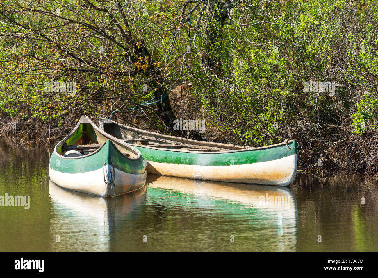 Arcachon Bay (France), canoes on the river Leyre, also called the Little Amazon Stock Photo