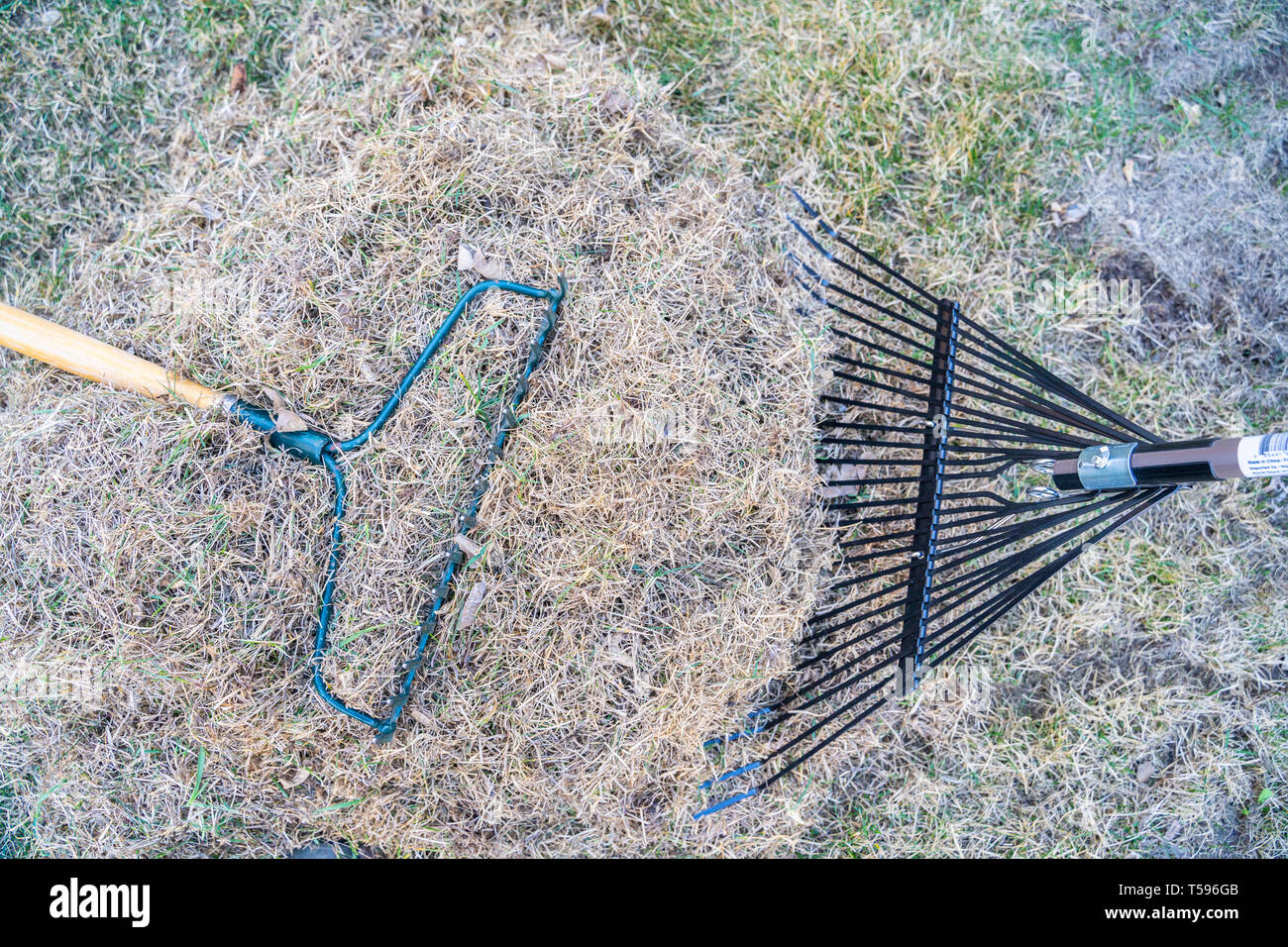 Garden rake and pile of dead grass from lawn after winter Stock Photo