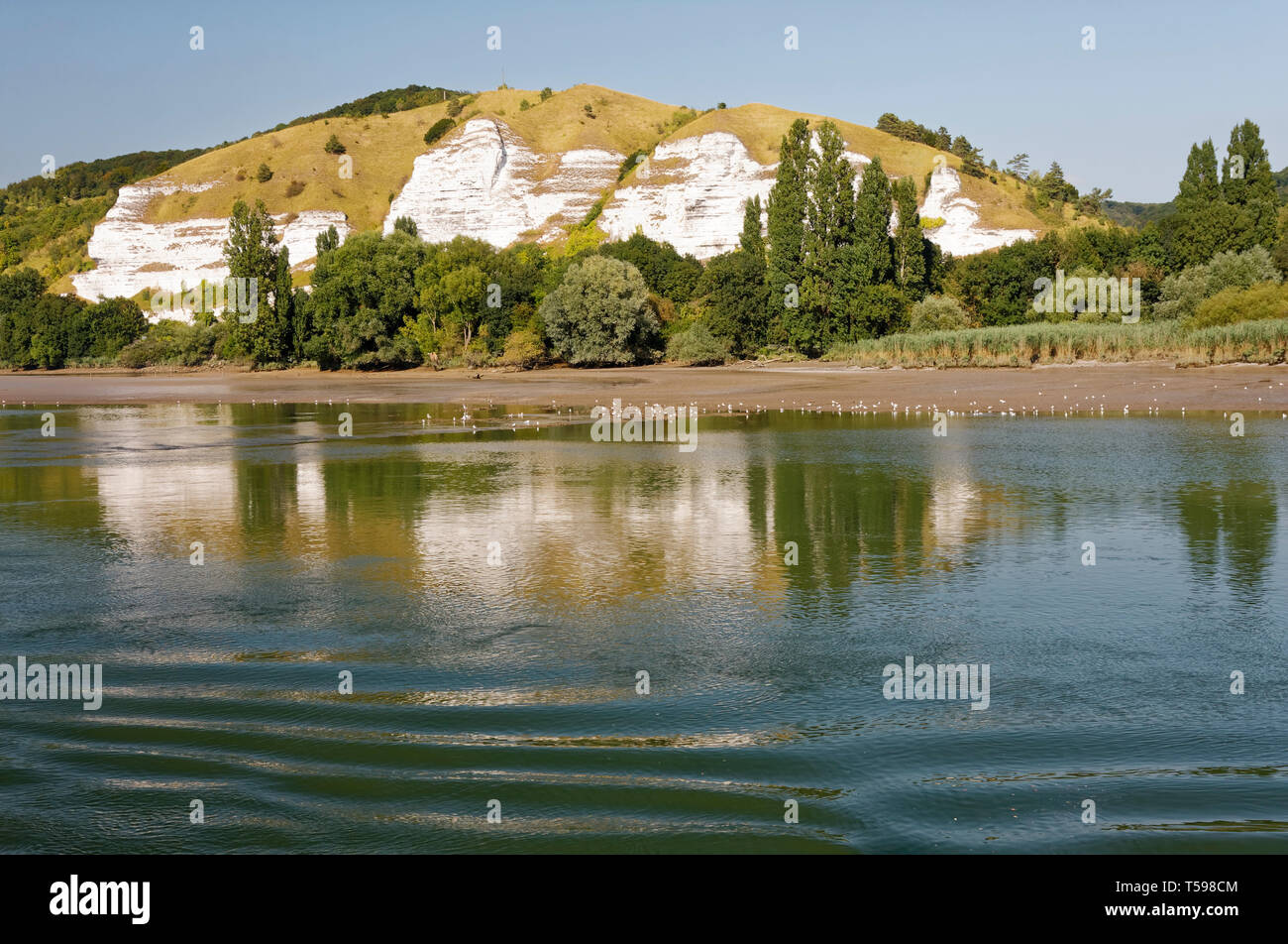 Seine River Scene Water White Cliffs Hill Vegetation Birds Nature Reflections Normandy France Summer Horizontal Stock Photo Alamy