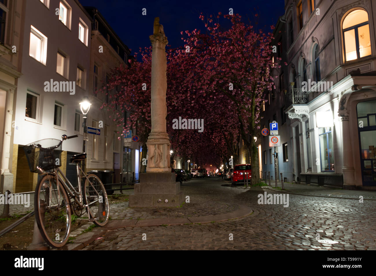 Monument in Heerstreet, Bonn, Germany, at cherry blossoms Stock Photo