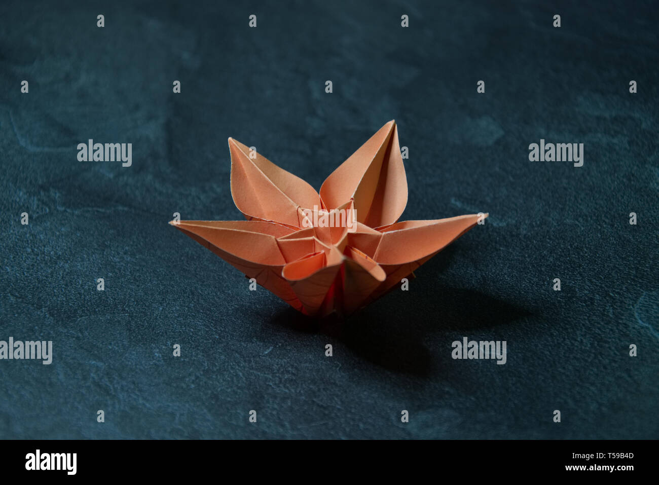 Origami Orchid Flower Blossom Paper Art On Textured