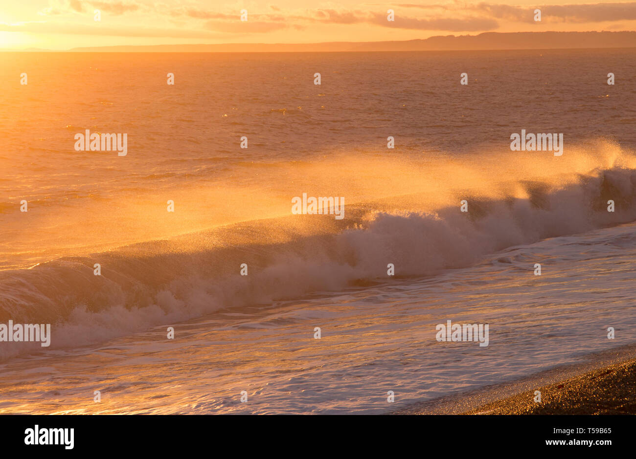 Waves breaking at sunset on Chesil beach lit by the sun. Dorset England UK GB Stock Photo