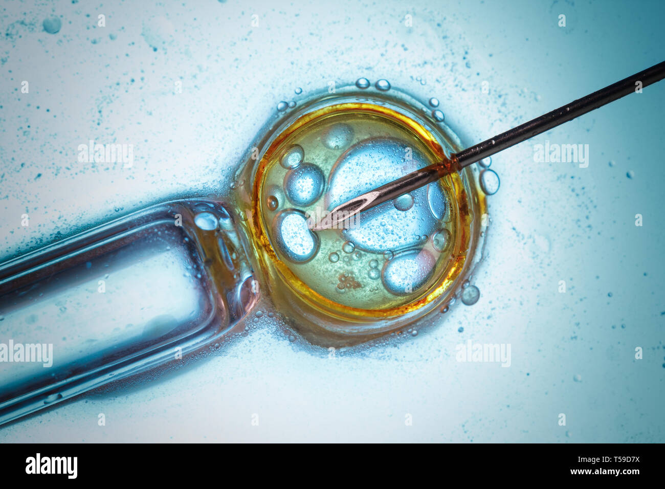 Laboratory microscopic research, virus, bacteria or cell vaccination macro concept Stock Photo