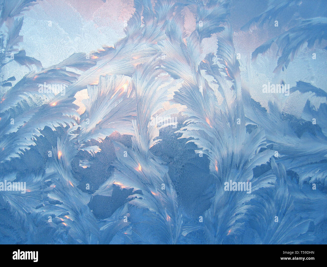 frosty natural pattern and sunlight on winter window Stock Photo - Alamy