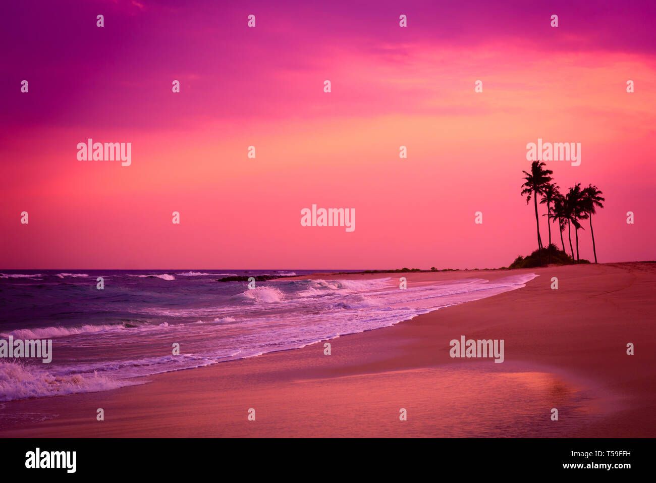 Stormy sky sunset tree hi-res stock photography and images - Alamy