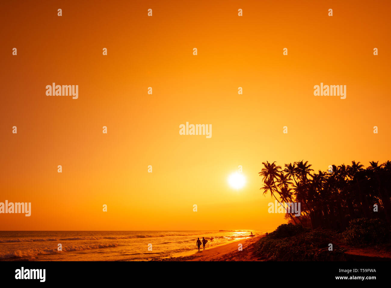 Tropical beach with surfers with surf board silhouettes and palm trees ...