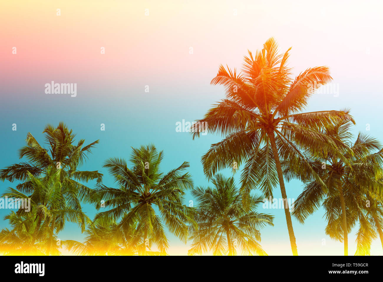 Coconut palm trees on tropical ocean beach, vintage toned and retro ...