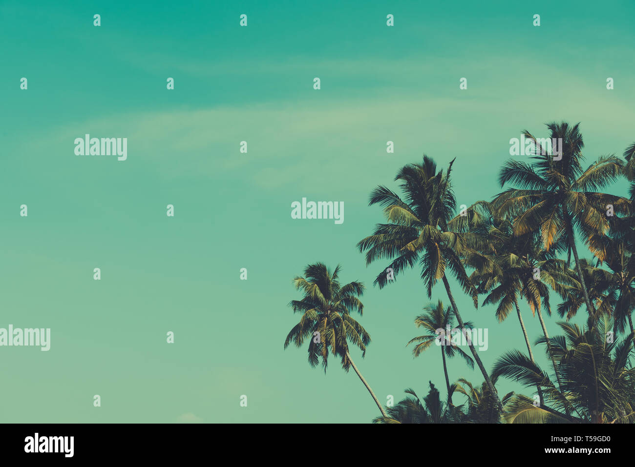Palm trees on tropical beach, with copy-space, vintage toned and retro ...
