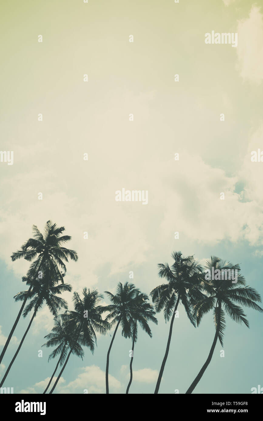 Coconut palm trees on tropical ocean beach, vintage toned and retro ...