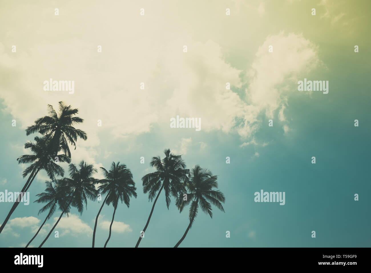 Coconut palm trees on tropical ocean beach, vintage toned and retro ...