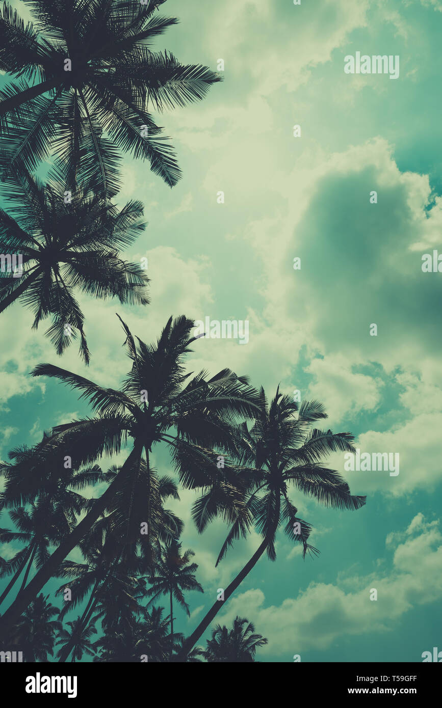 Coconut palm trees on tropical ocean beach, vintage toned and retro ...