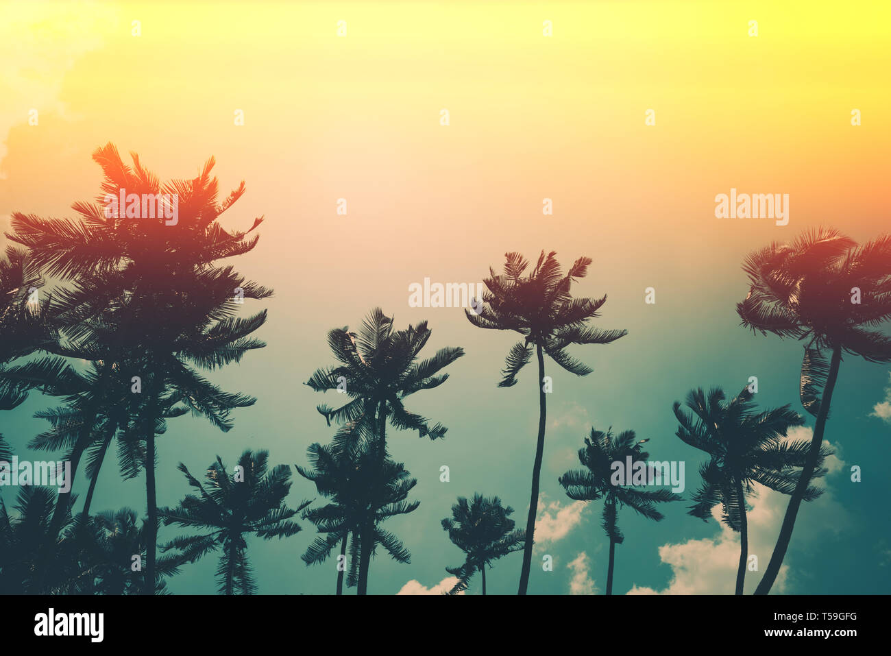 Coconut palm trees on tropical ocean beach, vintage toned and retro ...
