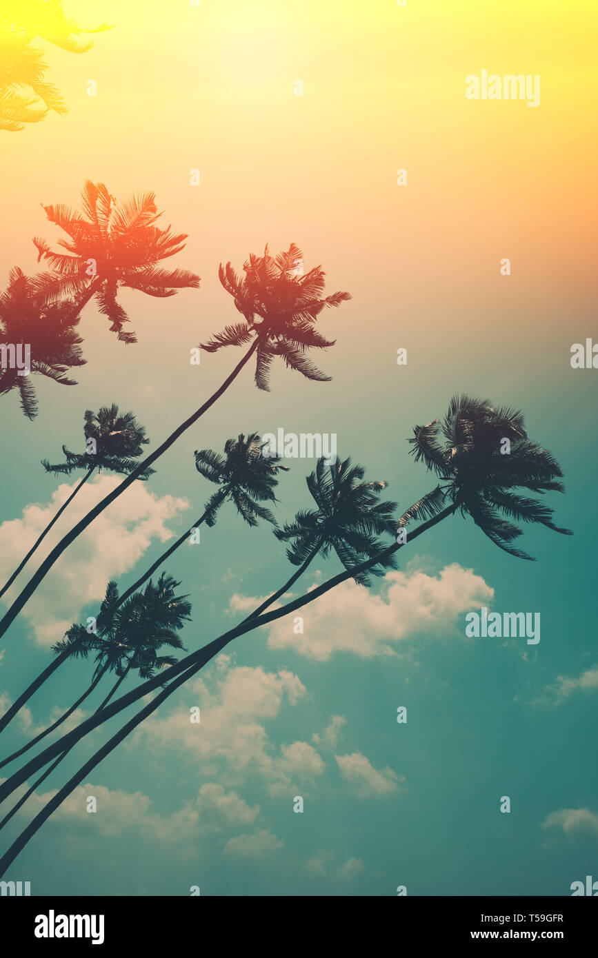 Coconut palm trees on tropical ocean beach, vintage toned and retro ...